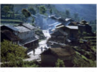 plate_5__paradise_lodge_