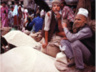plate_6__grain_dealers_